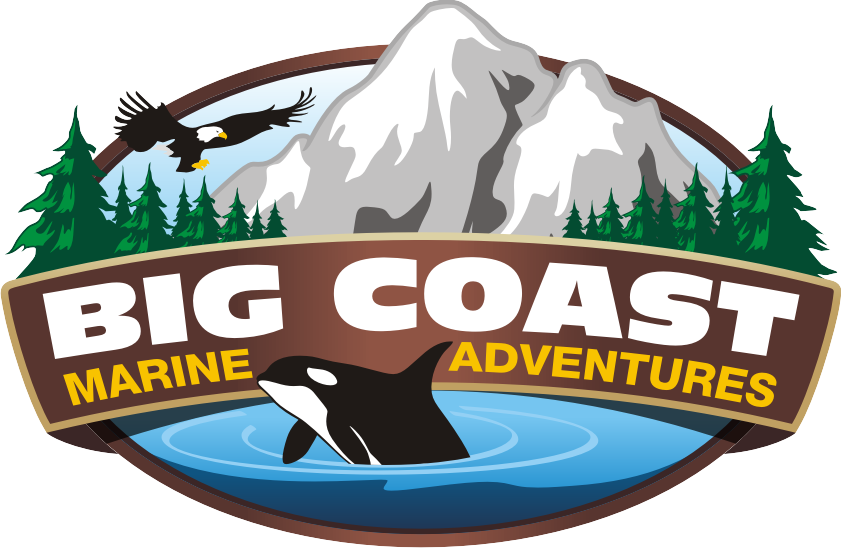 Big Coast Marine Adventures