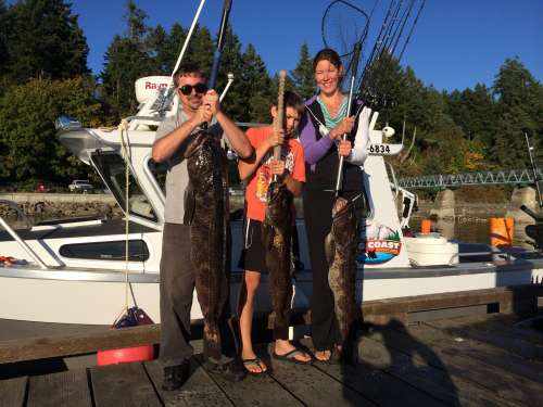 A big lingcod with an impressive bucket mouth