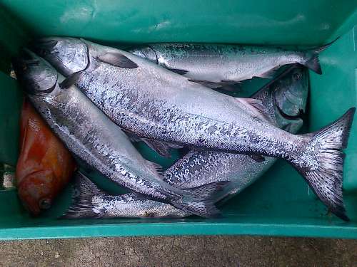 Brad and Andre ready for a day of fishing adventure