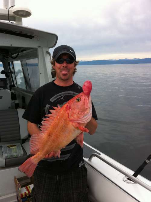 Stunning views from the charter boat near Denman