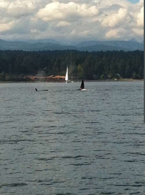 Exploring the natural beauty of the Gulf Islands