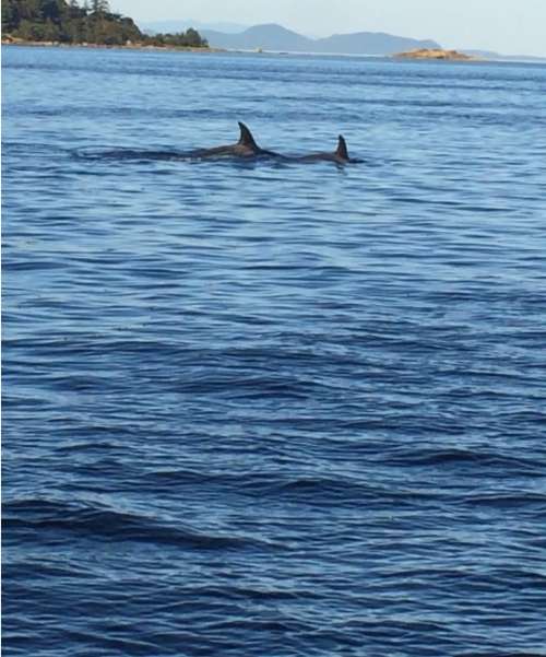 Anchored in a sheltered bay between the islands