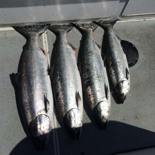 A peaceful May morning on the Pacific