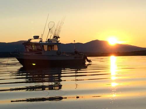 Golden sunset over Tree Island from the boat