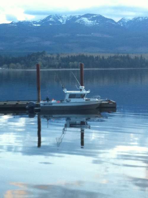 Little Hooker ready for another day of adventures