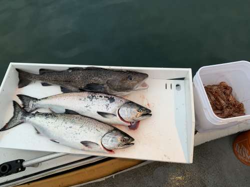 Frosty morning on the boat with stunning scenery
