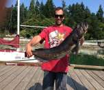 A hefty 20-pound lingcod pulled up from the deep