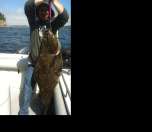 Impressive 40-pound halibut landed on a fishing charter