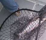 A great day out on the Big Coast boat