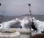 Wrapping up another successful fishing trip