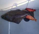 Beautiful coastline of the Alberni-Clayoquot region