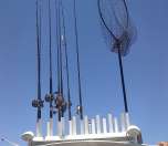 Scenic views along the Port Alberni inlet