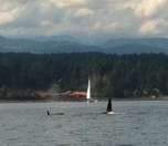 Exploring the natural beauty of the Gulf Islands