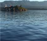 Orca whales spotted swimming through the channel