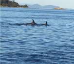 Anchored in a sheltered bay between the islands