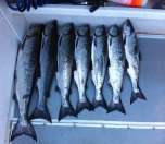 Lucky ladies showing off a big catch of fish