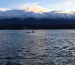 Mother and calf orca traveling together