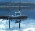 Little Hooker ready for another day of adventures